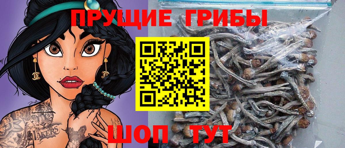 Псилоцибиновые грибы MAGIC MUSHROOMS  Псилоцибиновые грибы мухоморы  Нефтекамск  Вход с VPN 