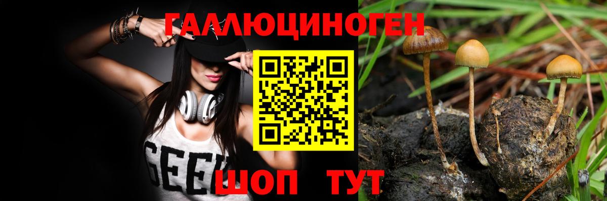 Галлюциногенные грибы прущие грибы Нефтекамск